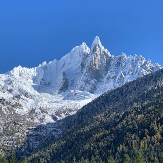 شقة Belle Vue Des Praz شامونكس المظهر الخارجي الصورة